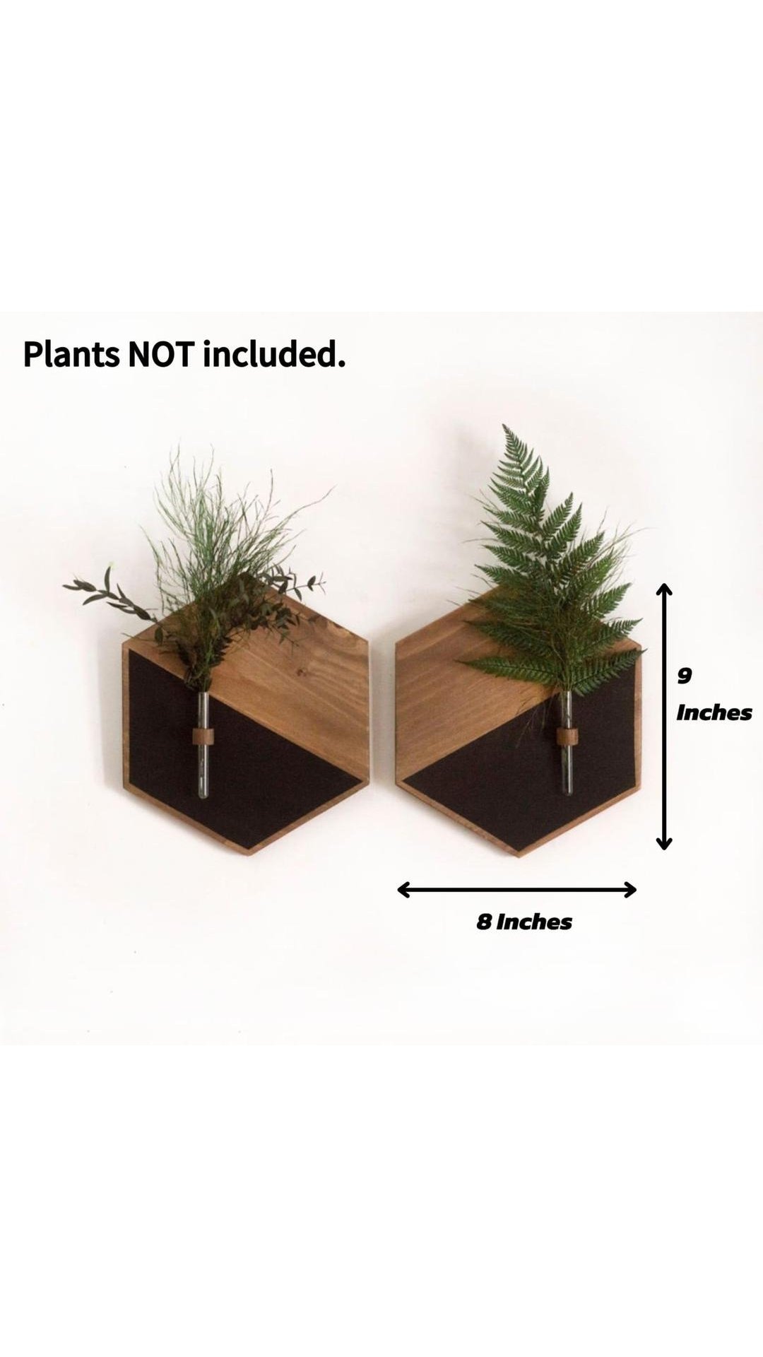 MZ1261200203MRTS-media-2_9x16