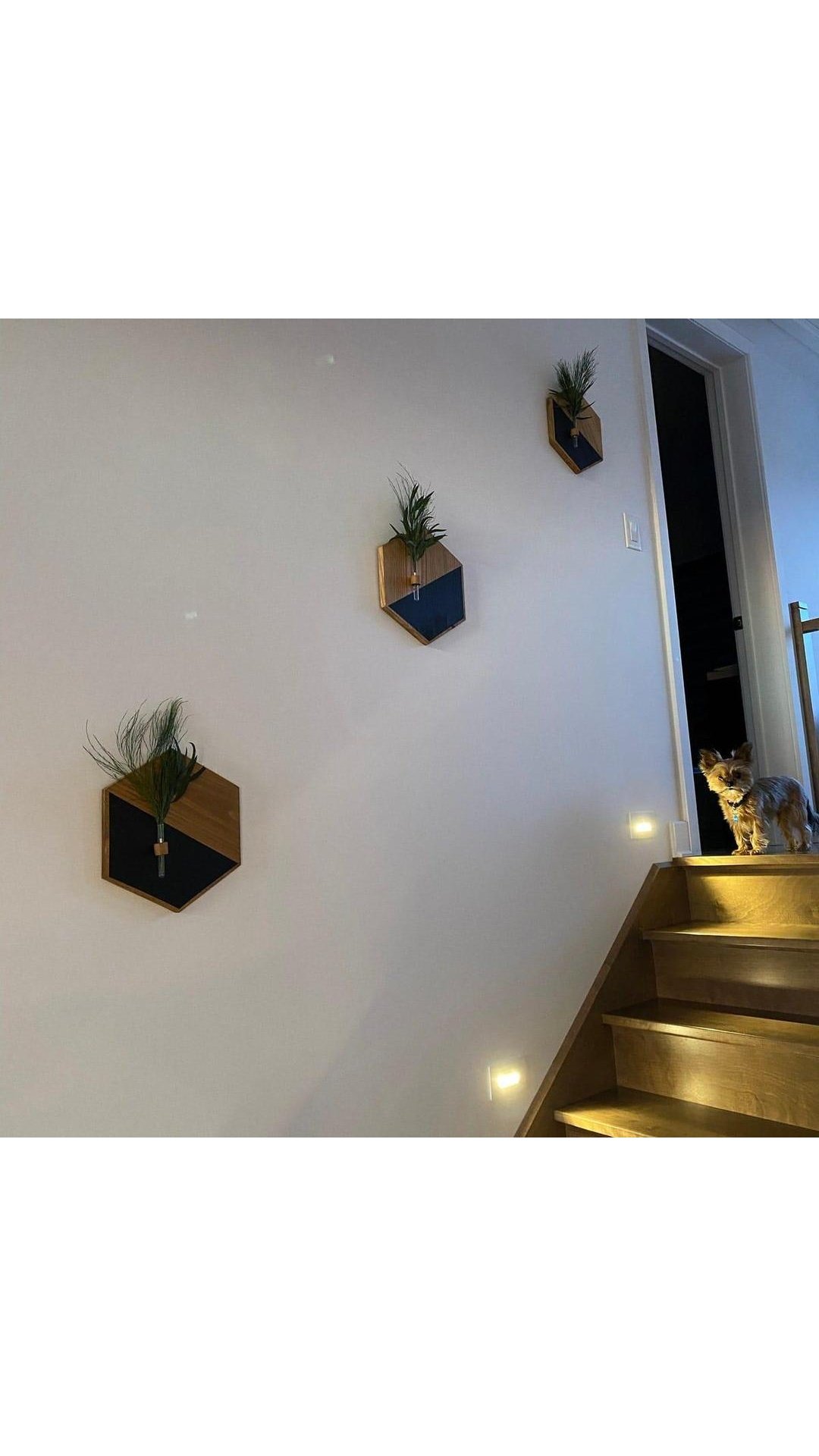 MZ1261200203MRTS-media-5_9x16